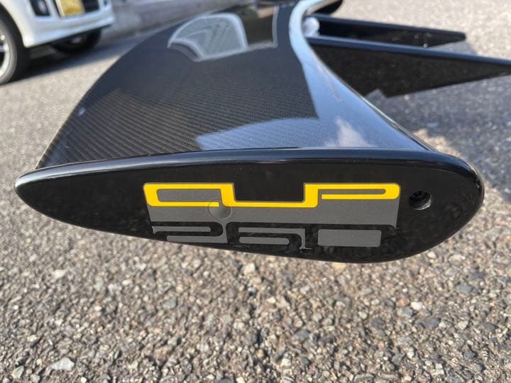 ロータスエキシージ CUP260 リアウイング　カーボン