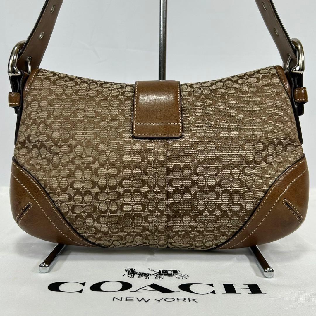 【美品/保存袋付】コーチ 6818 シグネチャー ワンハンドバッグ 肩掛け 茶