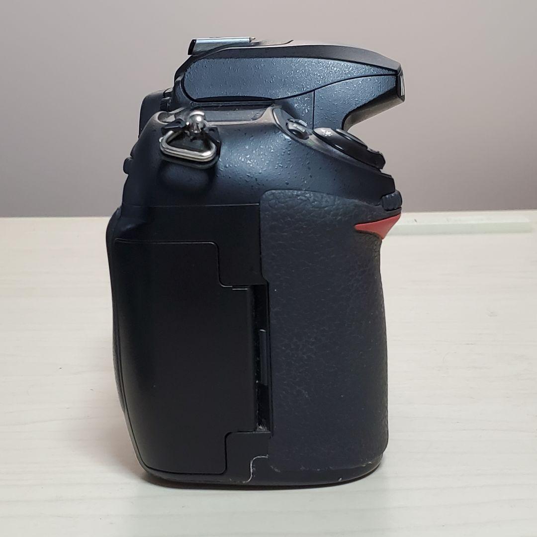 CCDセンサー 名機 Nikon D200 ショット数 約50,000回超