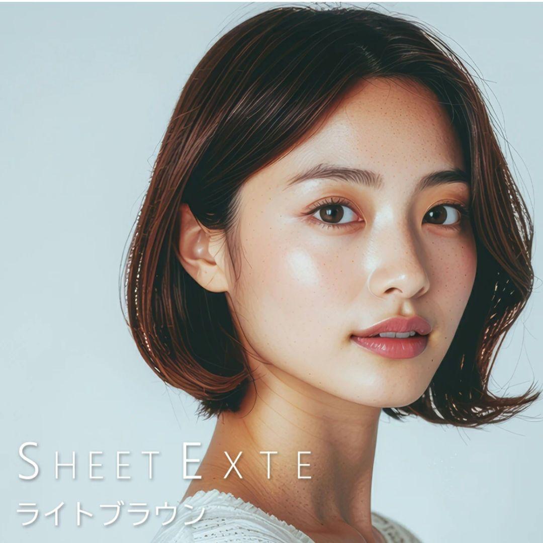 シートエクステ ショート ライトブラウン 1枚