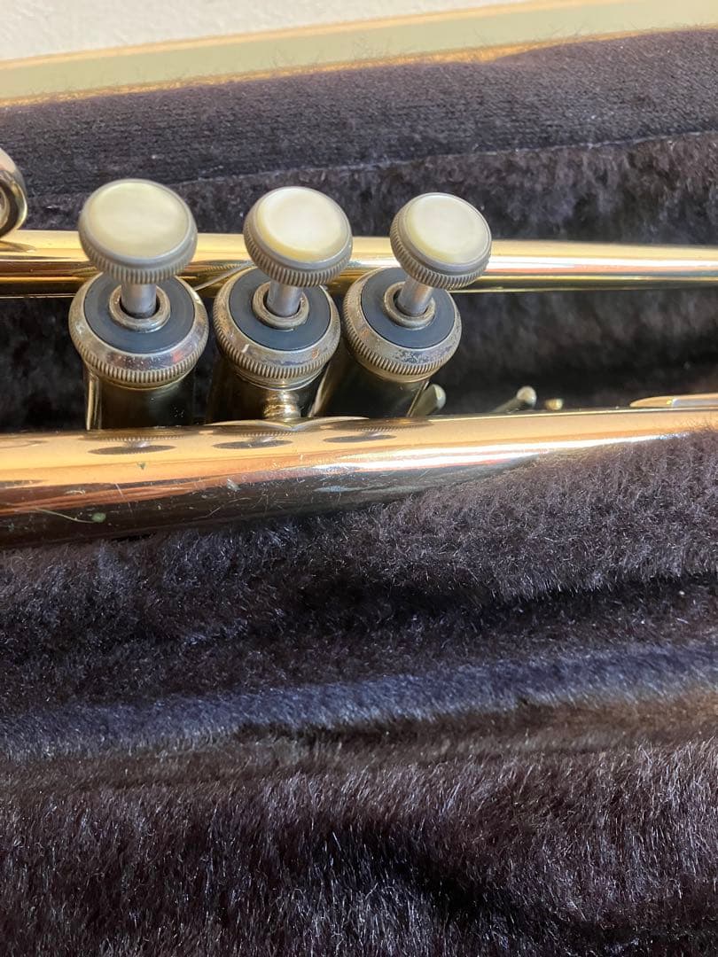 Bach 180ML37GB ケース　マウスピース　サイレントブラス　ミュート