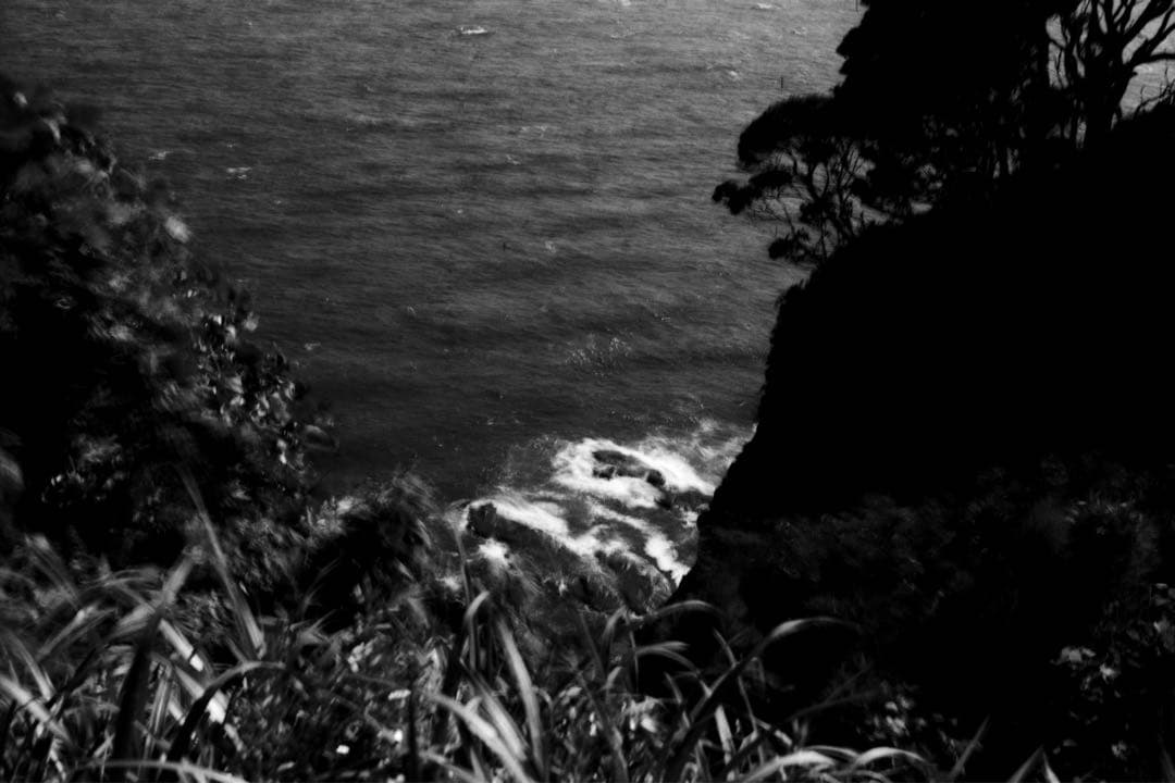 希少 Zeiss WERRA フィルムカメラ 実用品