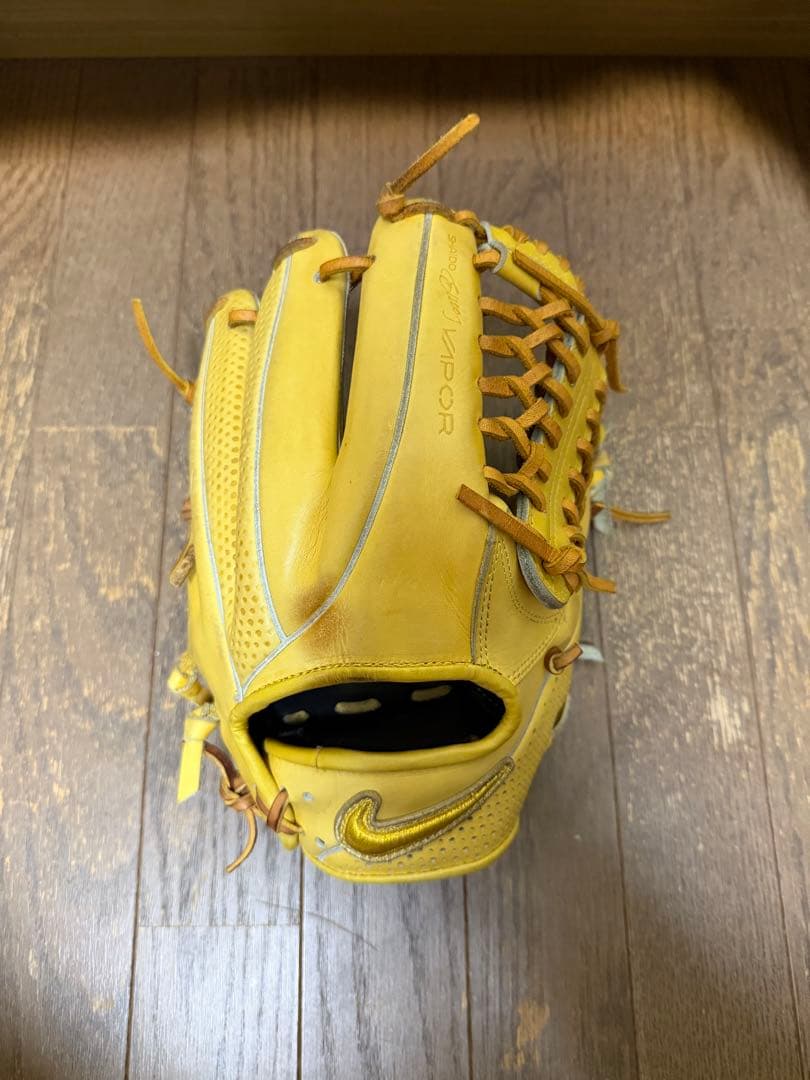 Nike ナイキa硬式グローブ