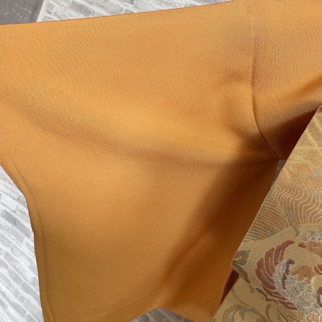 色無地　フルセット　藤紋　浜ちりめん　シンプル　礼装　カジュアル　着物　H6