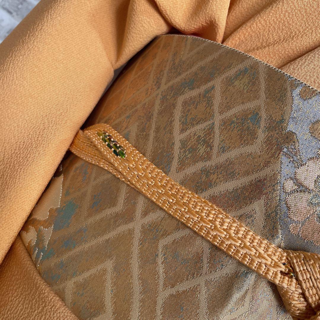 色無地　フルセット　藤紋　浜ちりめん　シンプル　礼装　カジュアル　着物　H6