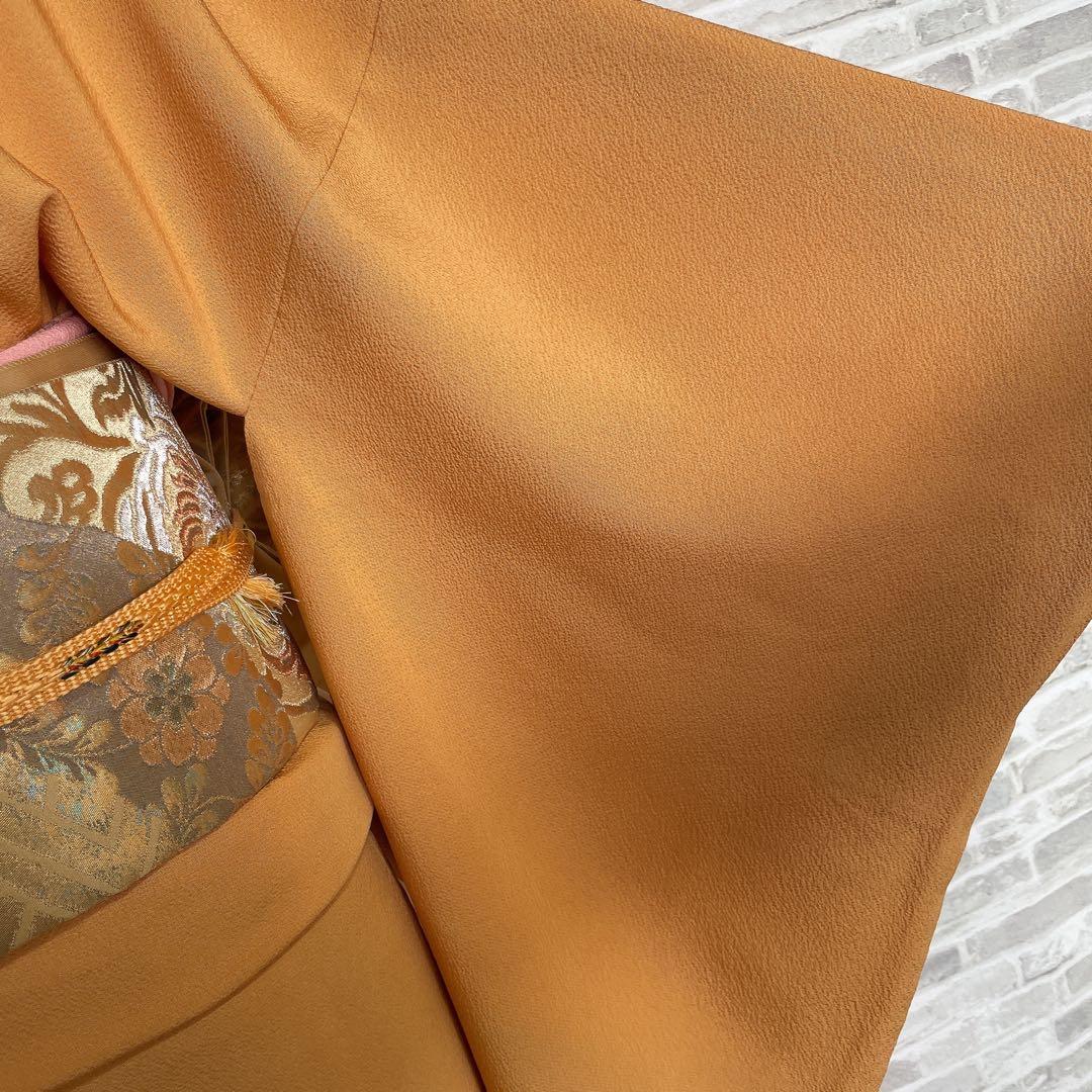 色無地　フルセット　藤紋　浜ちりめん　シンプル　礼装　カジュアル　着物　H6