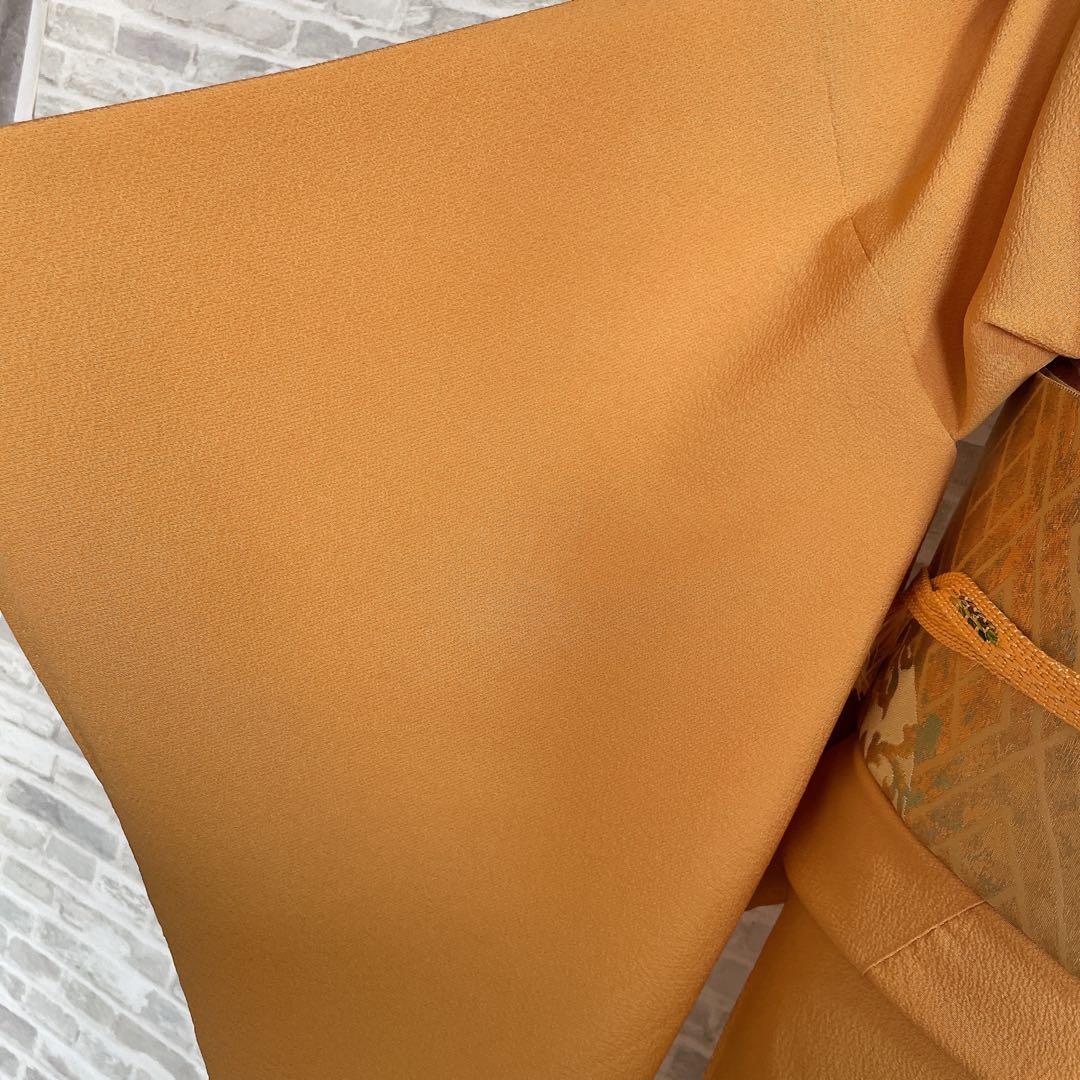 色無地　フルセット　藤紋　浜ちりめん　シンプル　礼装　カジュアル　着物　H6