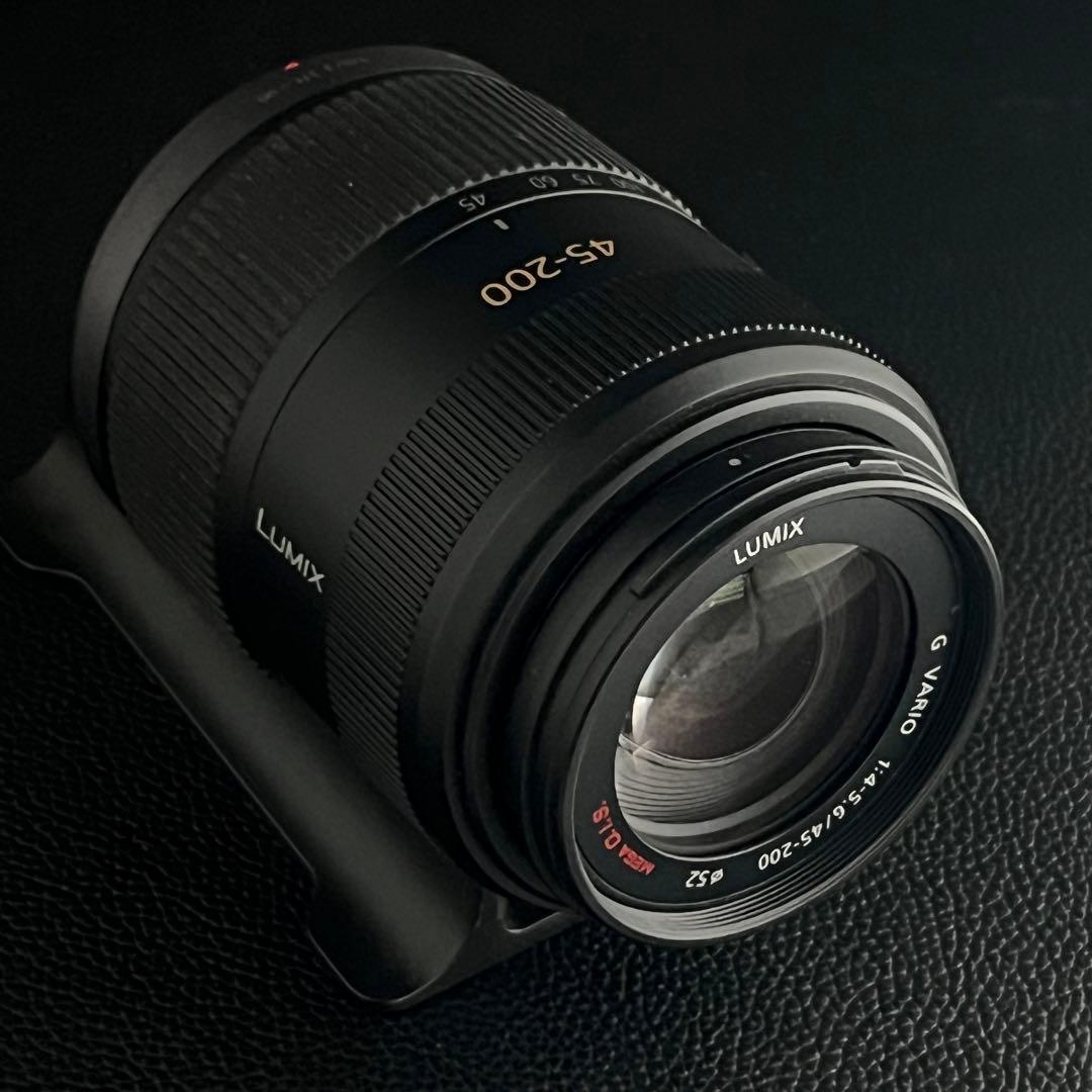 LUMIX G VALIO 45-200mm H-FS045200 動作確認済