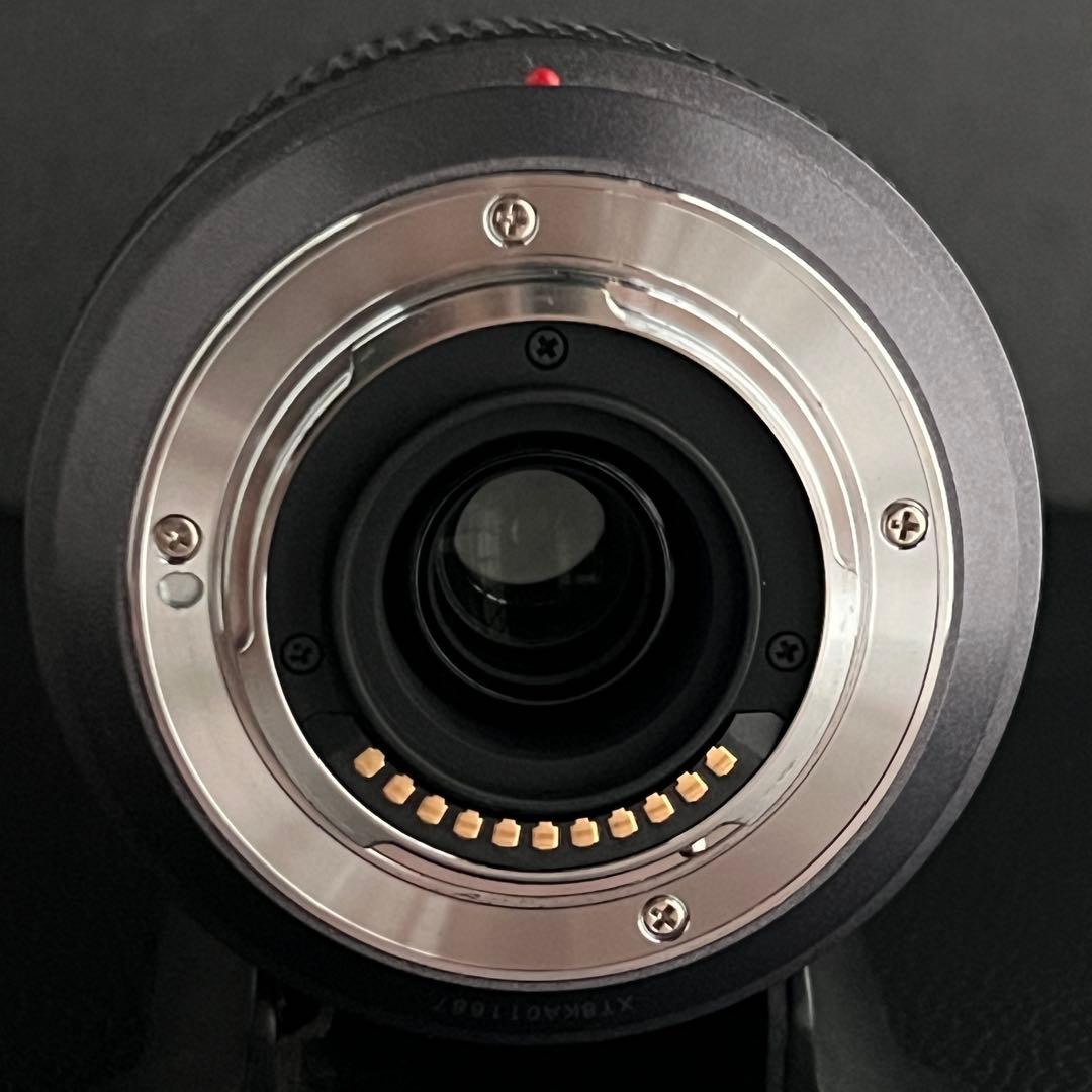 LUMIX G VALIO 45-200mm H-FS045200 動作確認済