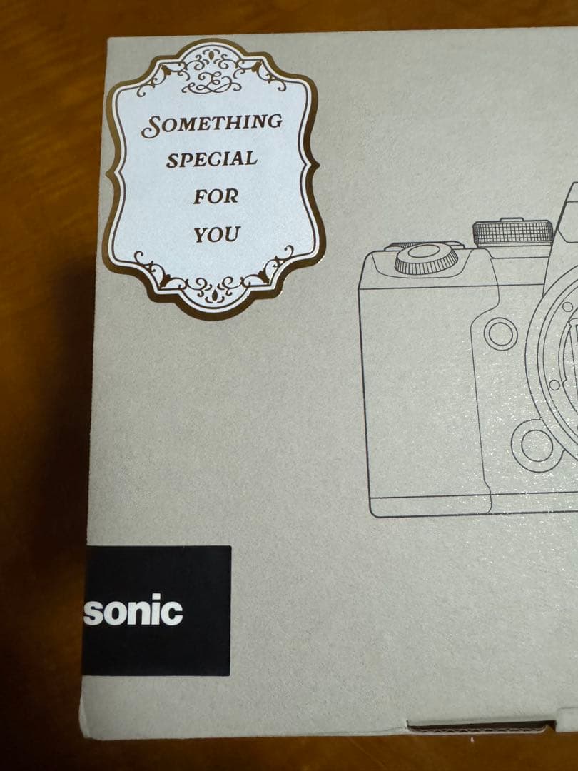 【新品未開封】Panasonic DC-S1RM2 デジタル一眼カメラ/ボディ