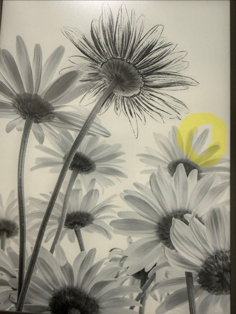 Kindle Scribe 16GB スタンダードペン レザーカバー