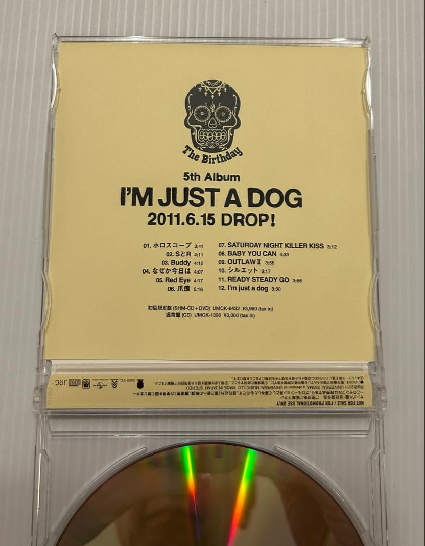 The Birthday チバユウスケ CD