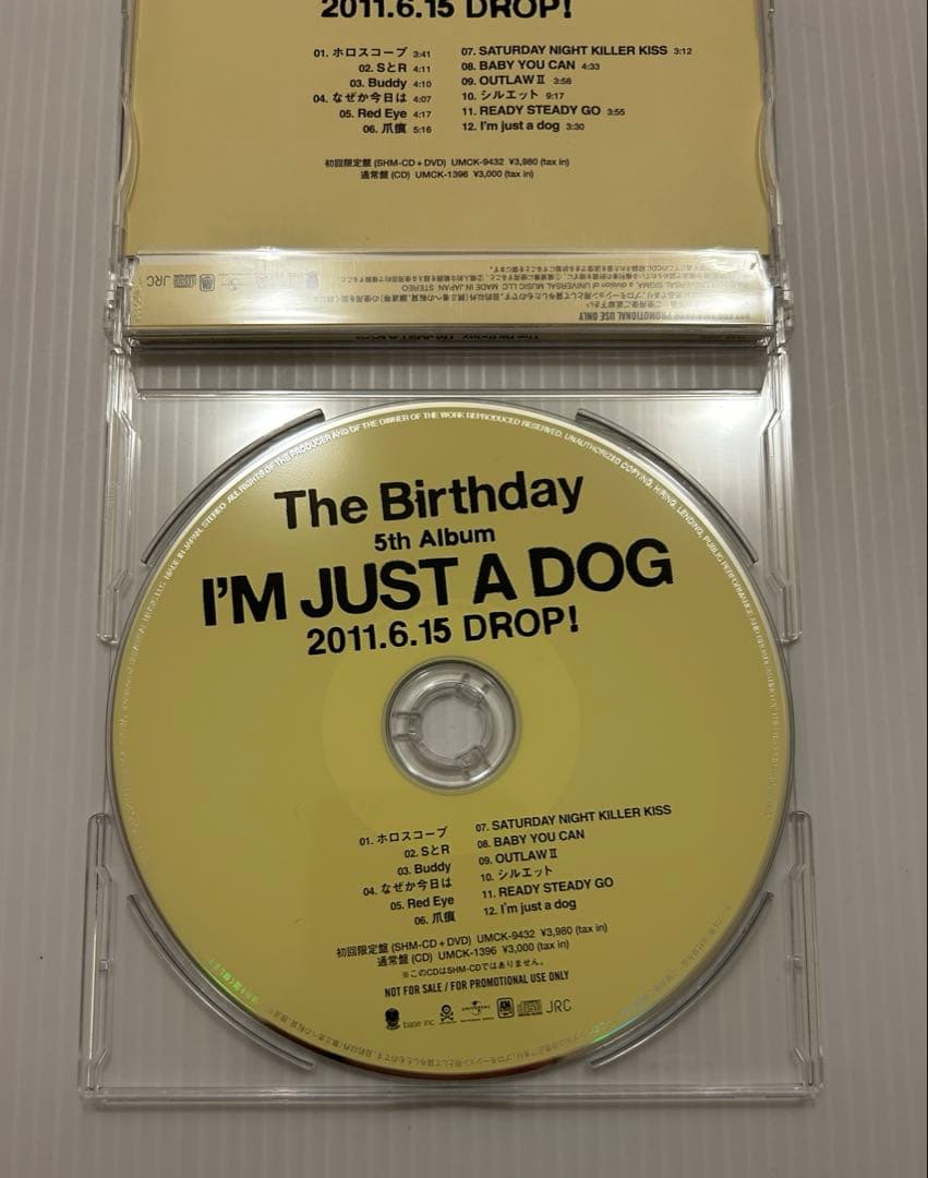 The Birthday チバユウスケ CD