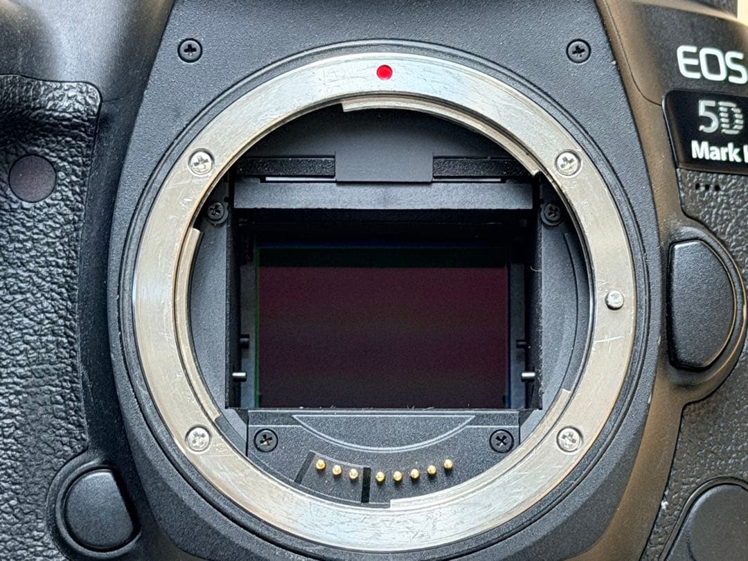 Canon EOS 5D Mark IV ボディ【元箱・おまけ多数】