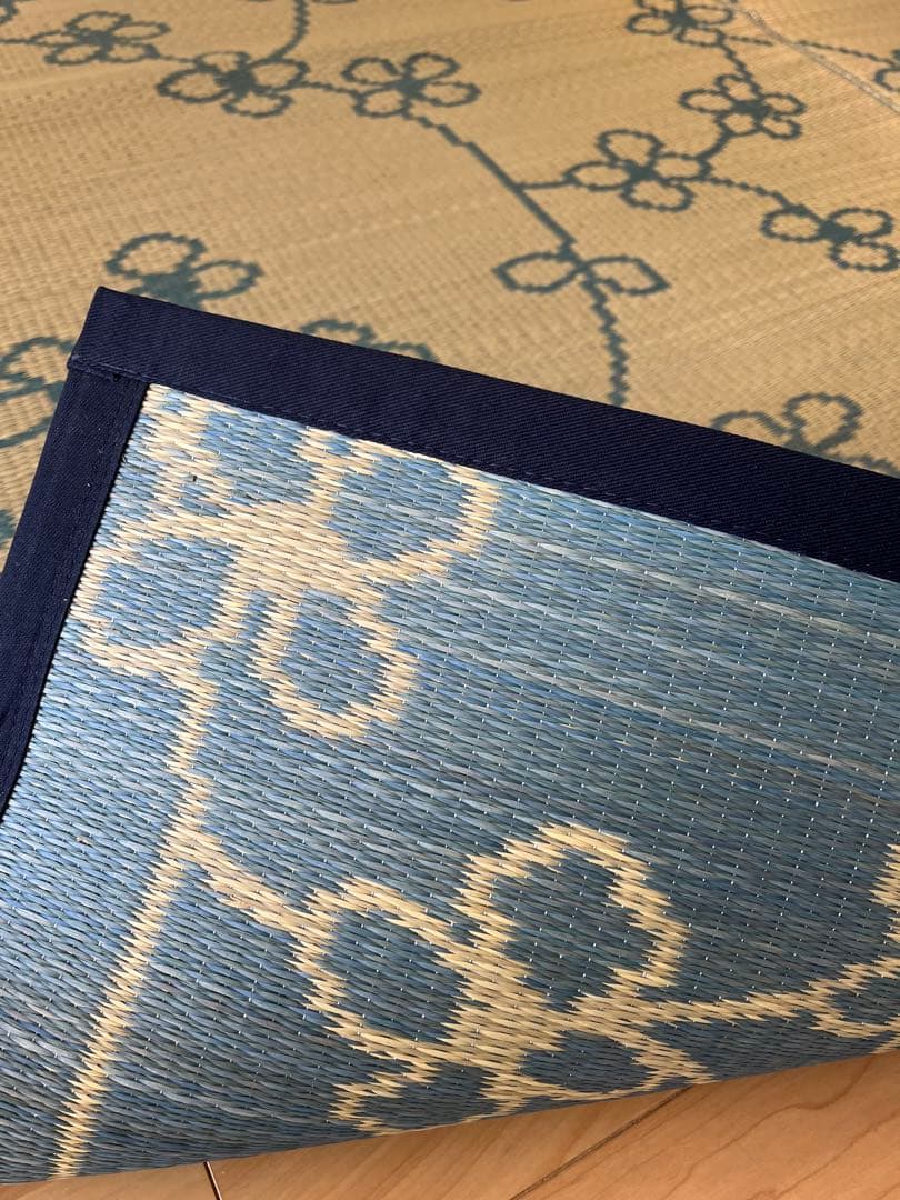 激辛フェイタス 2枚セット　ライン花 ①【訳あり特価品】ブルー ②オレンジ