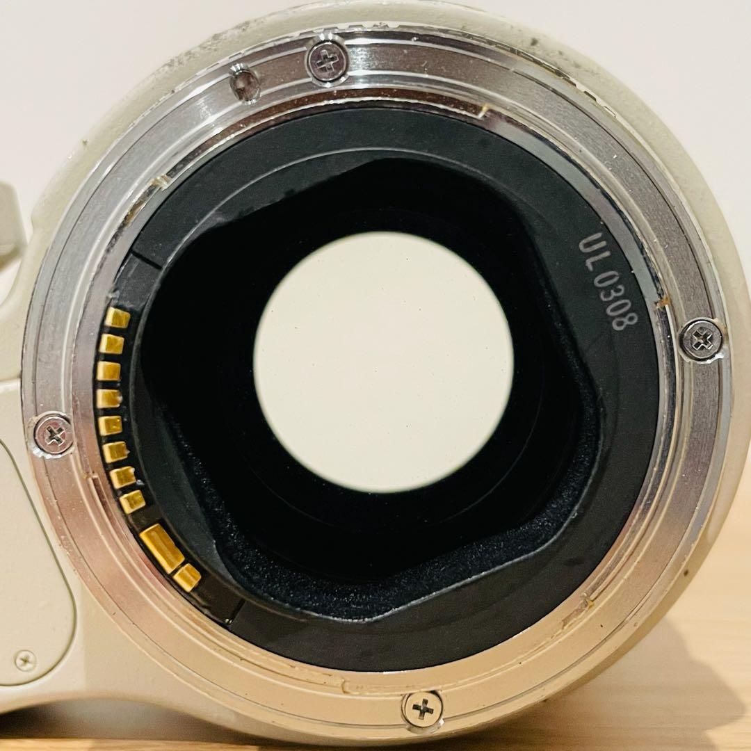 Canon キヤノン ZOOM LENS EF 70-200mm 1:2.8 L