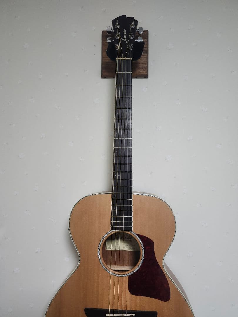 ジェームス　james jm600e　エレアコ　ギター　トップ単板