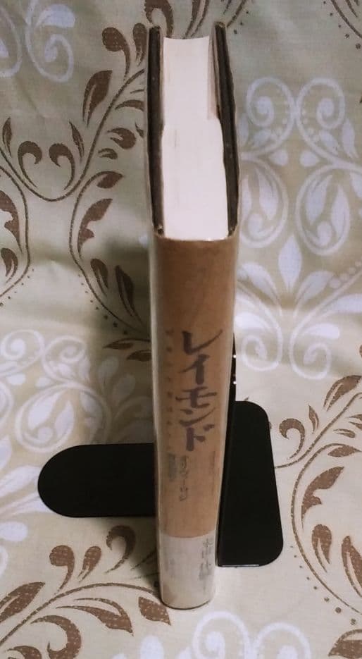 レイモンド　死後の世界はある