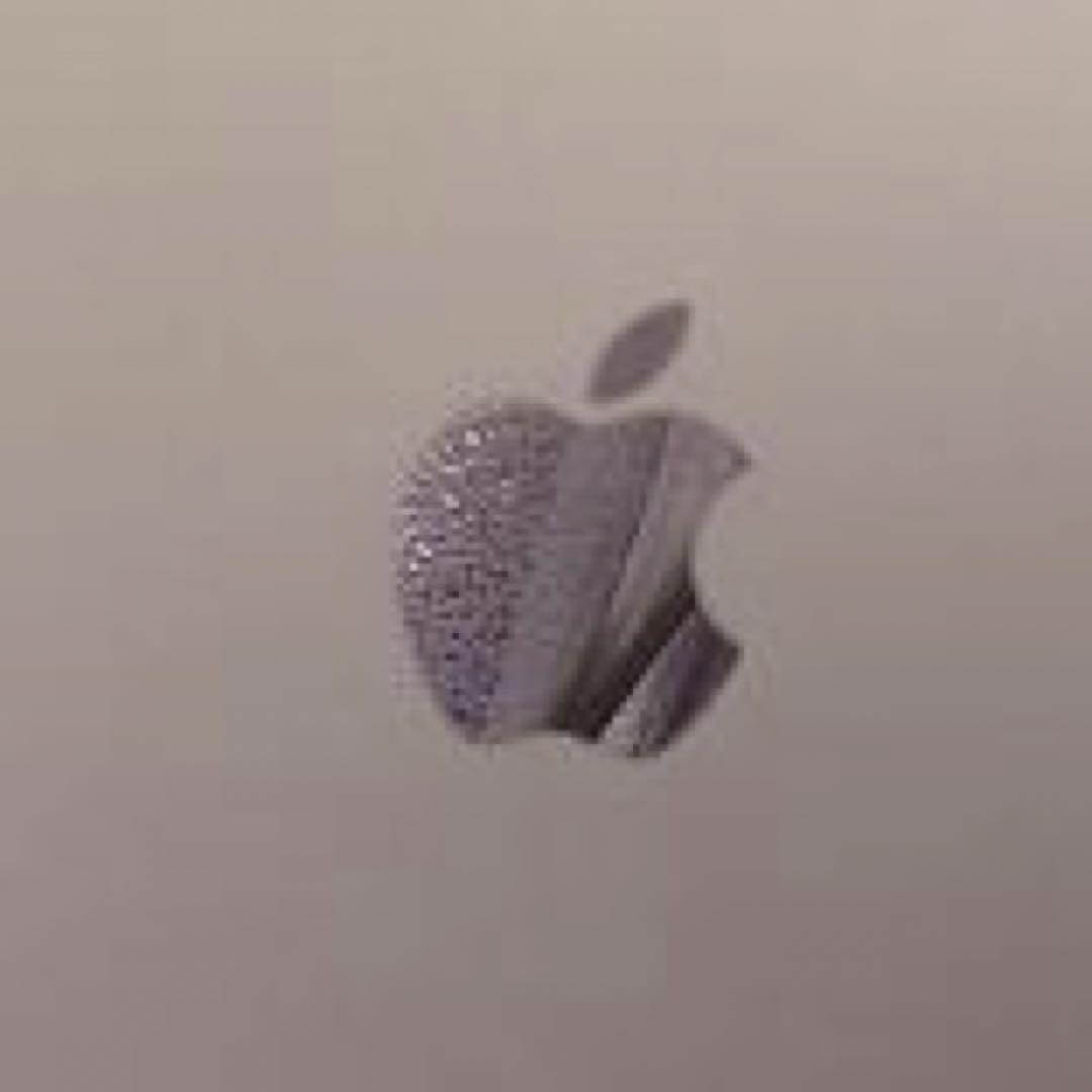 iPad本体 Apple iPad mini