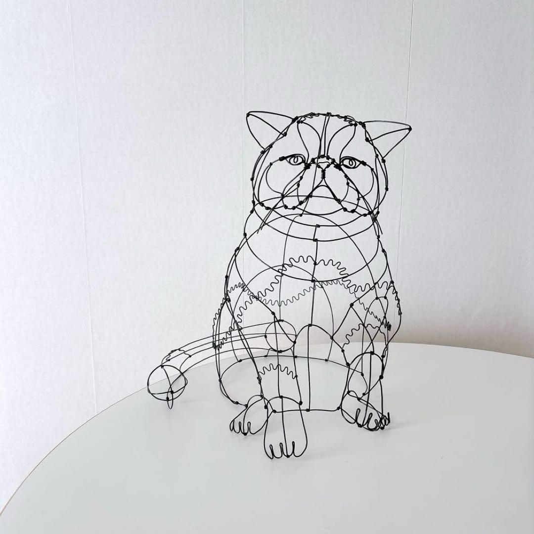 エキゾチックショートヘア　/ ワイヤーアート　ワイヤークラフト