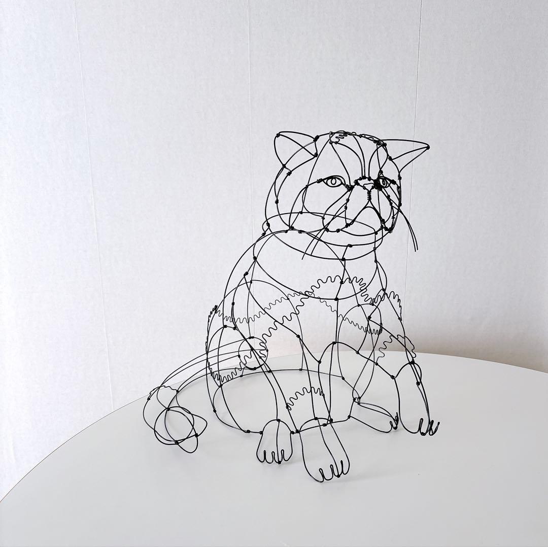 エキゾチックショートヘア　/ ワイヤーアート　ワイヤークラフト