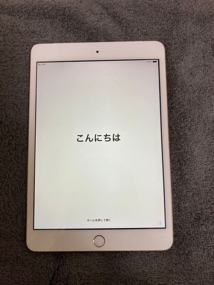 iPad mini 4 Cellular モデル 16GB最短即日発送！