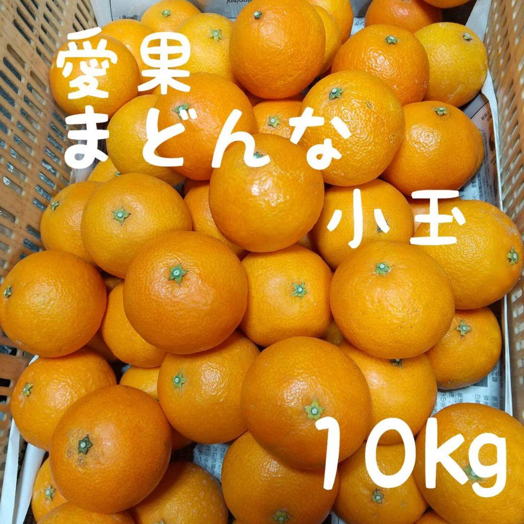 351愛果 まどんな 家庭用小玉 10kg