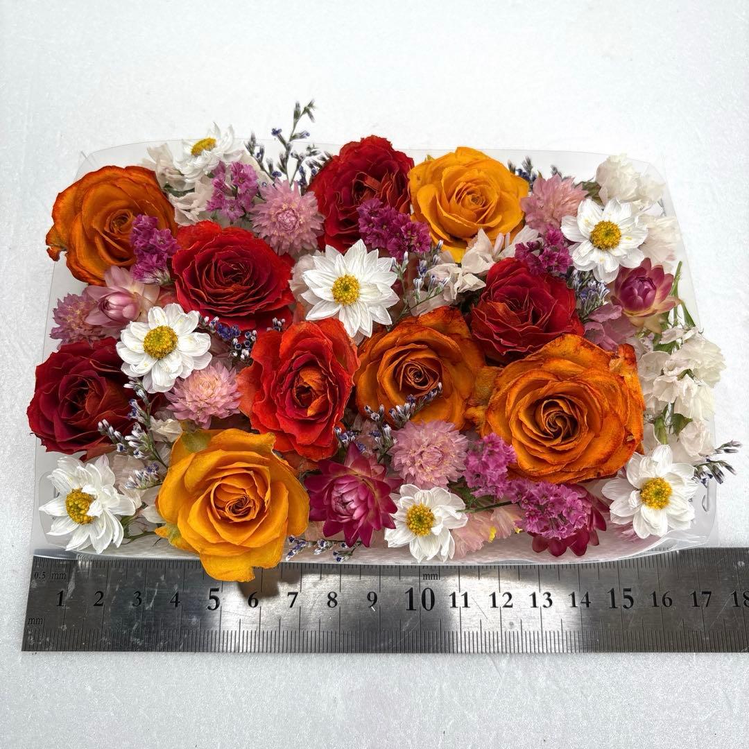 ドライフラワー 花材 詰め合わせ 918