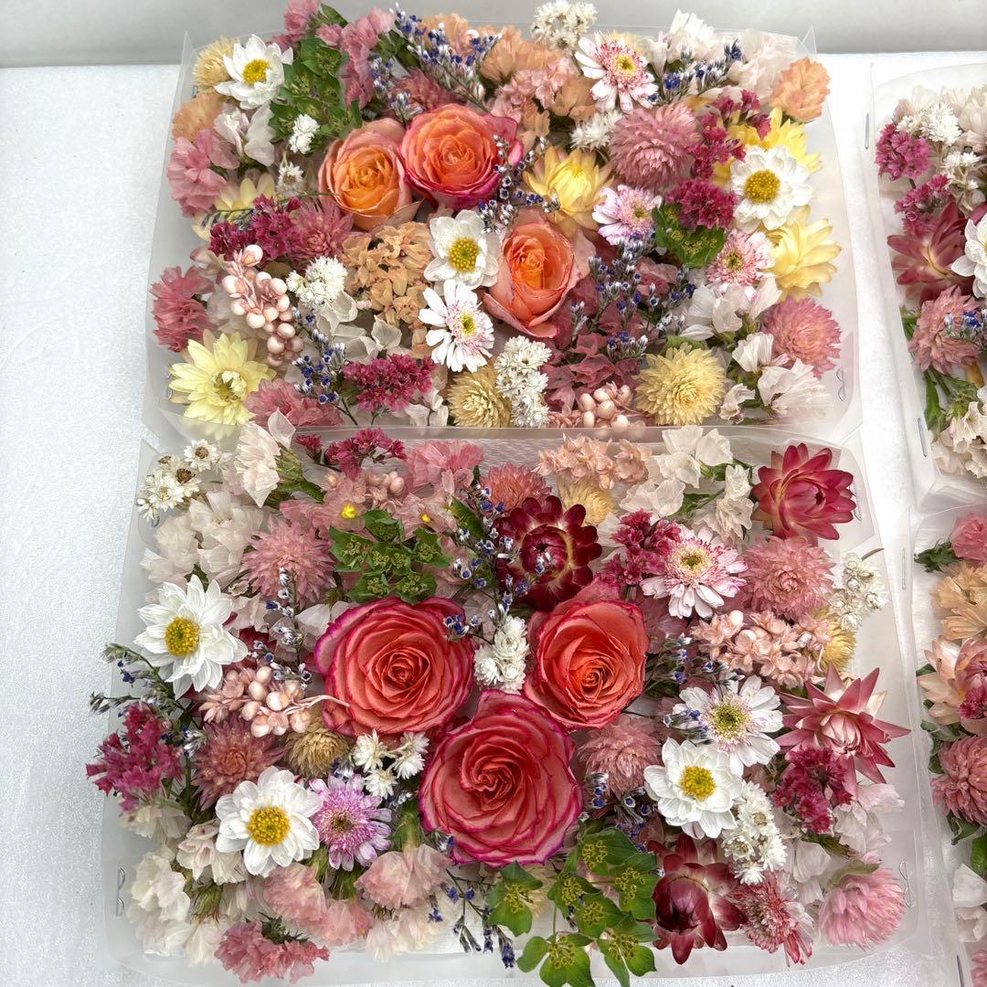 ドライフラワー 花材 詰め合わせ 918