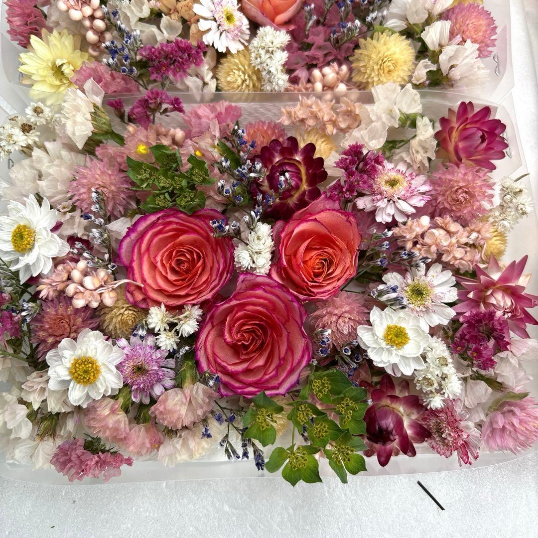 ドライフラワー 花材 詰め合わせ 918