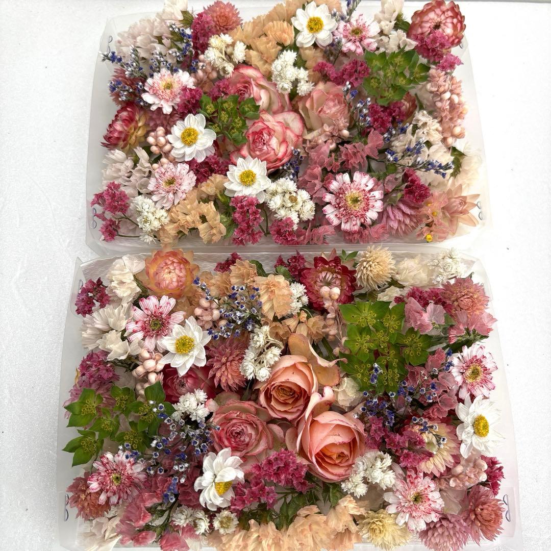 ドライフラワー 花材 詰め合わせ 918