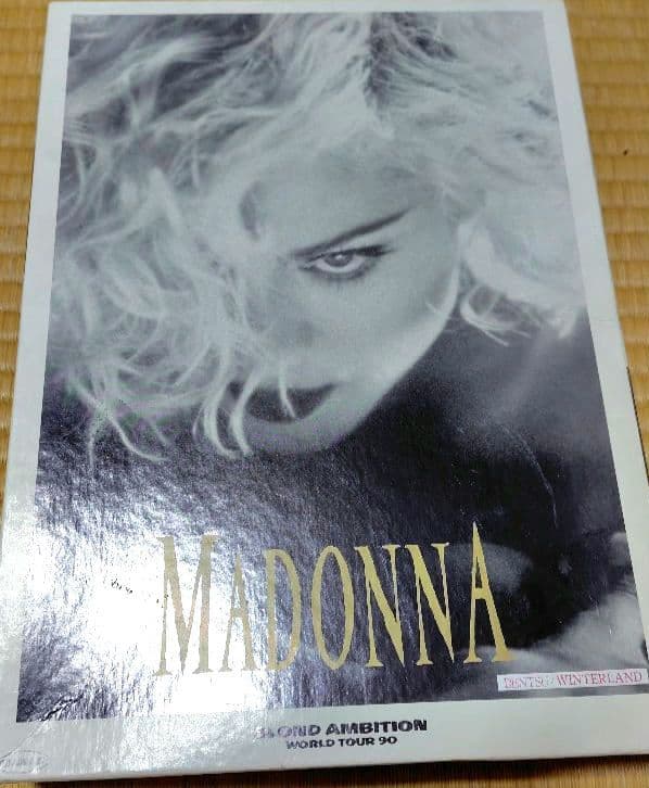 マドンナ　ジグソーパズル　500ピース