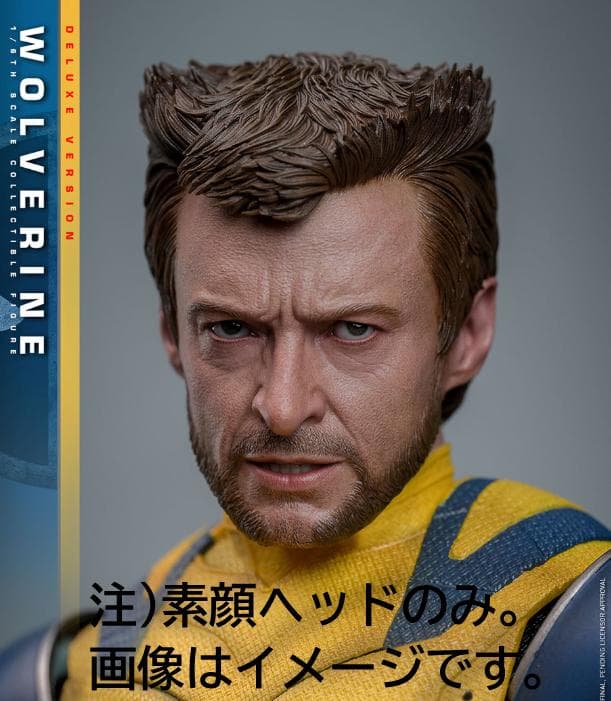 【バラ売り】マスターピース　ホットトイズ　ウルヴァリン素顔ヘッドのみ【本体なし】