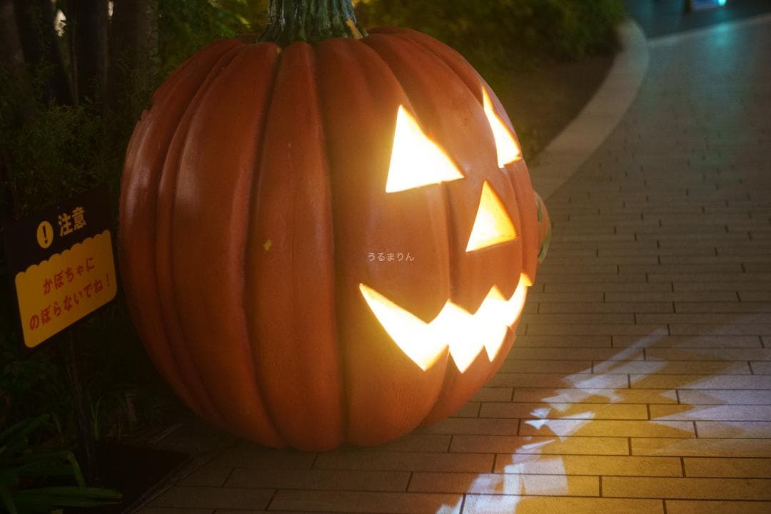 狂気の原点！Leica Xenon 50mm F1.5 オールドレンズ