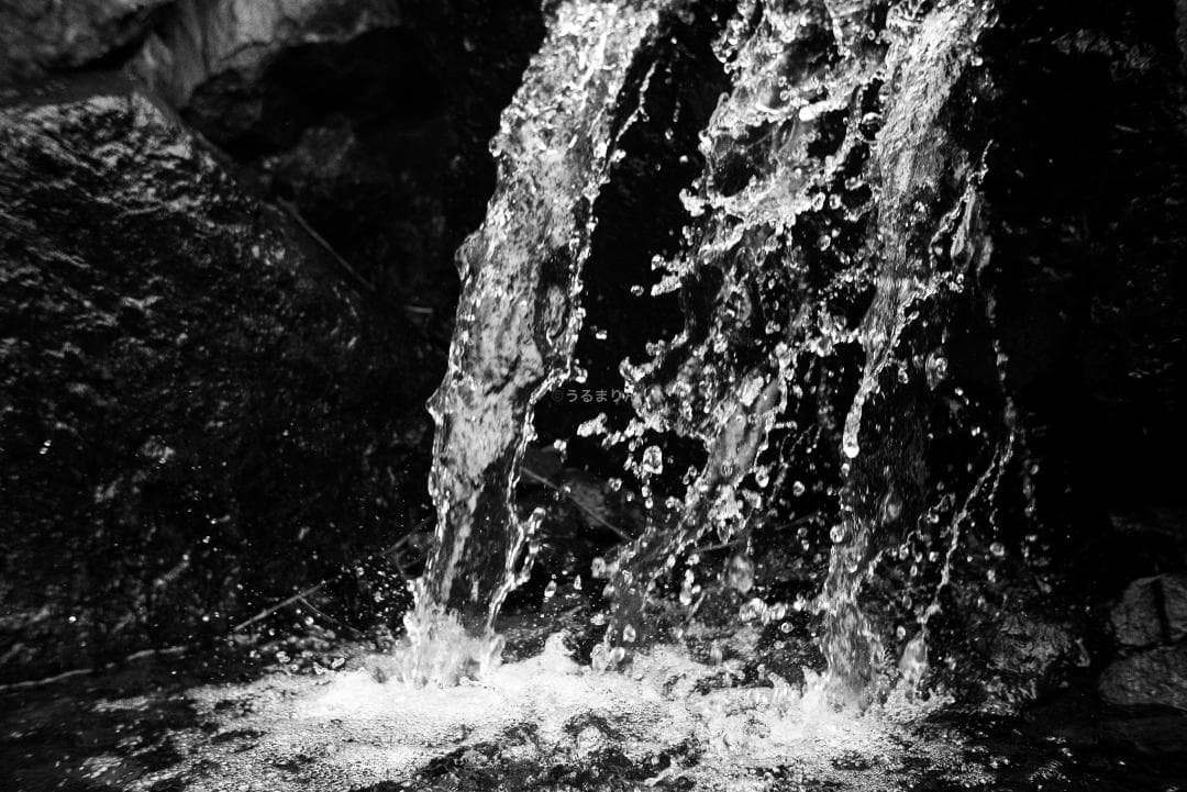 狂気の原点！Leica Xenon 50mm F1.5 オールドレンズ