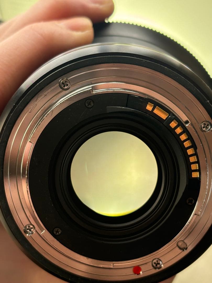 SIGMA 14mm F1.8 DG EF（Canon用）