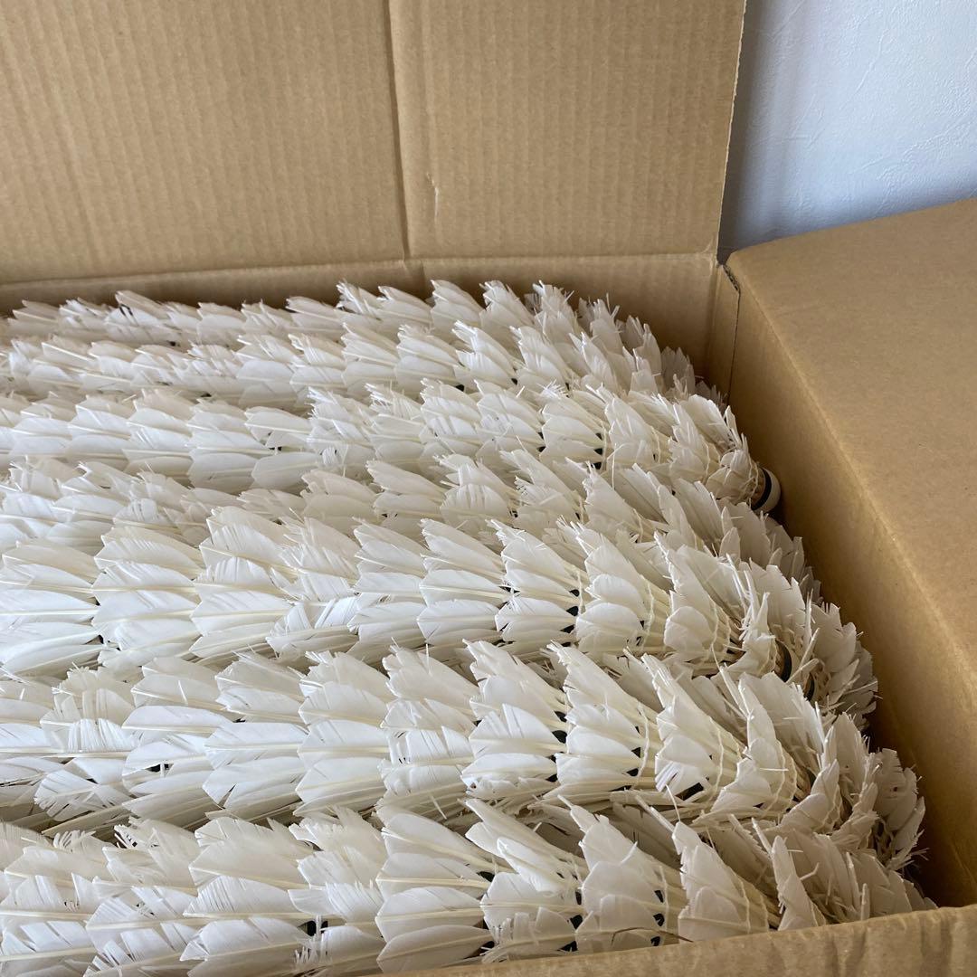 バドミントン　シャトル　820球