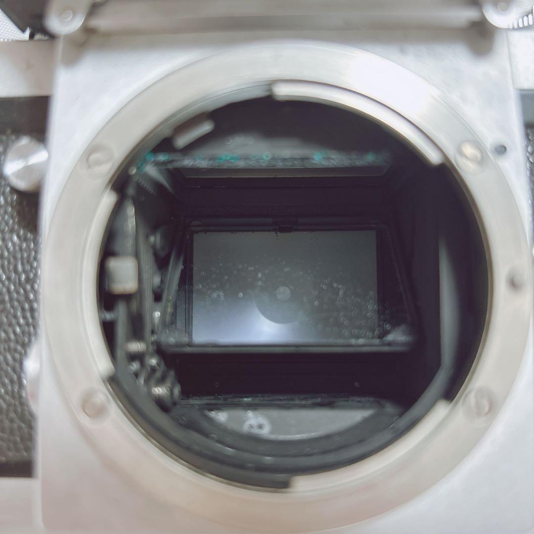 Nikon F フォトミックFTN