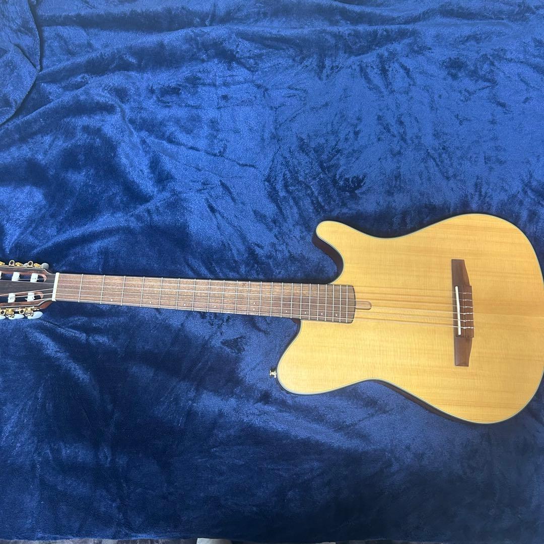 Ibanez アコースティック　エレキギター　楽器 ソフトケース付き