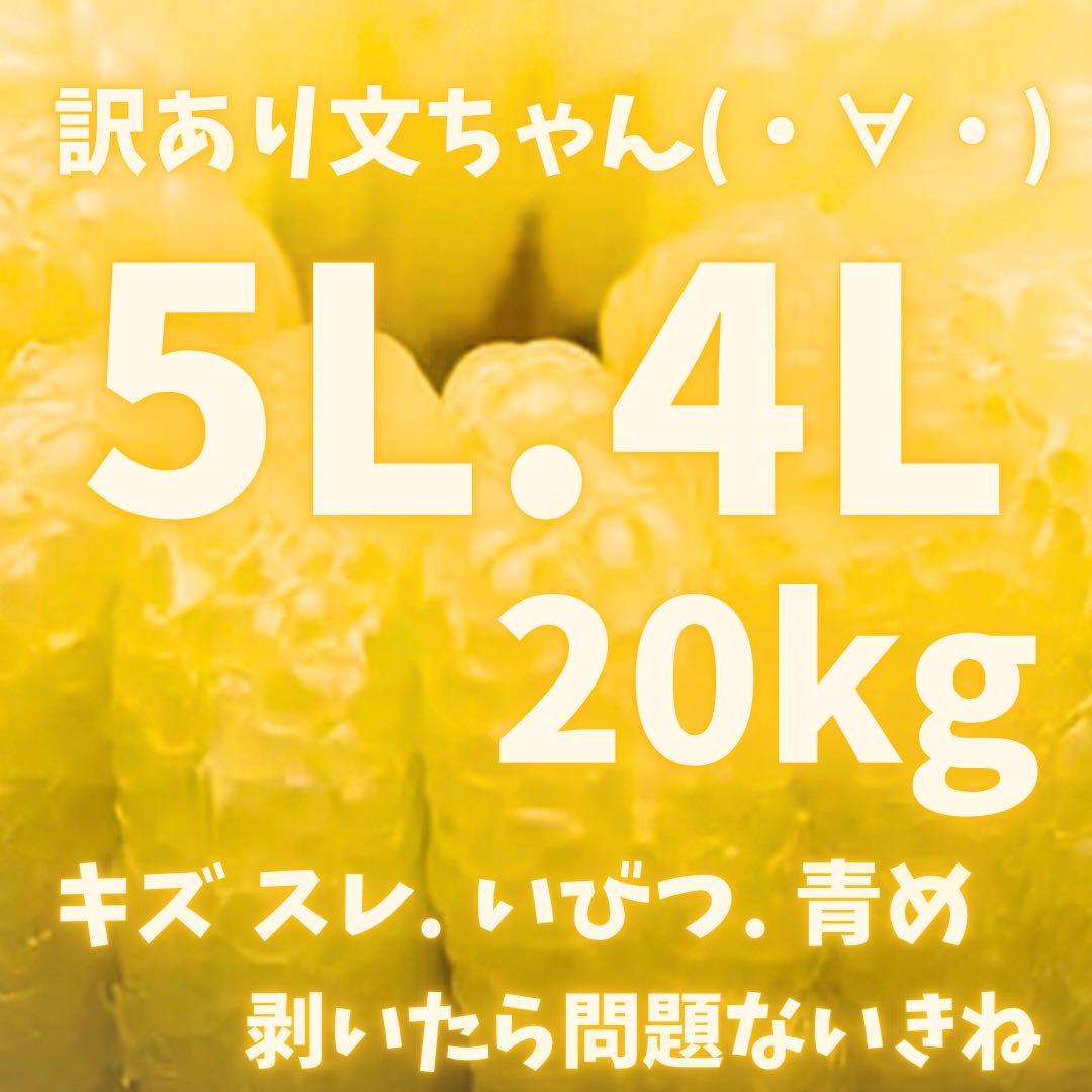 文旦　水晶文旦　みかん　好きに　　85