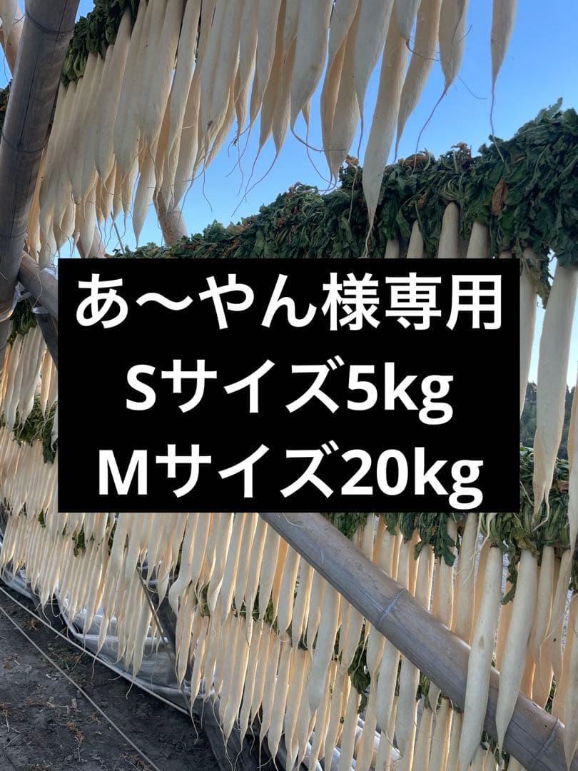 宮崎県産　干し大根　25kg