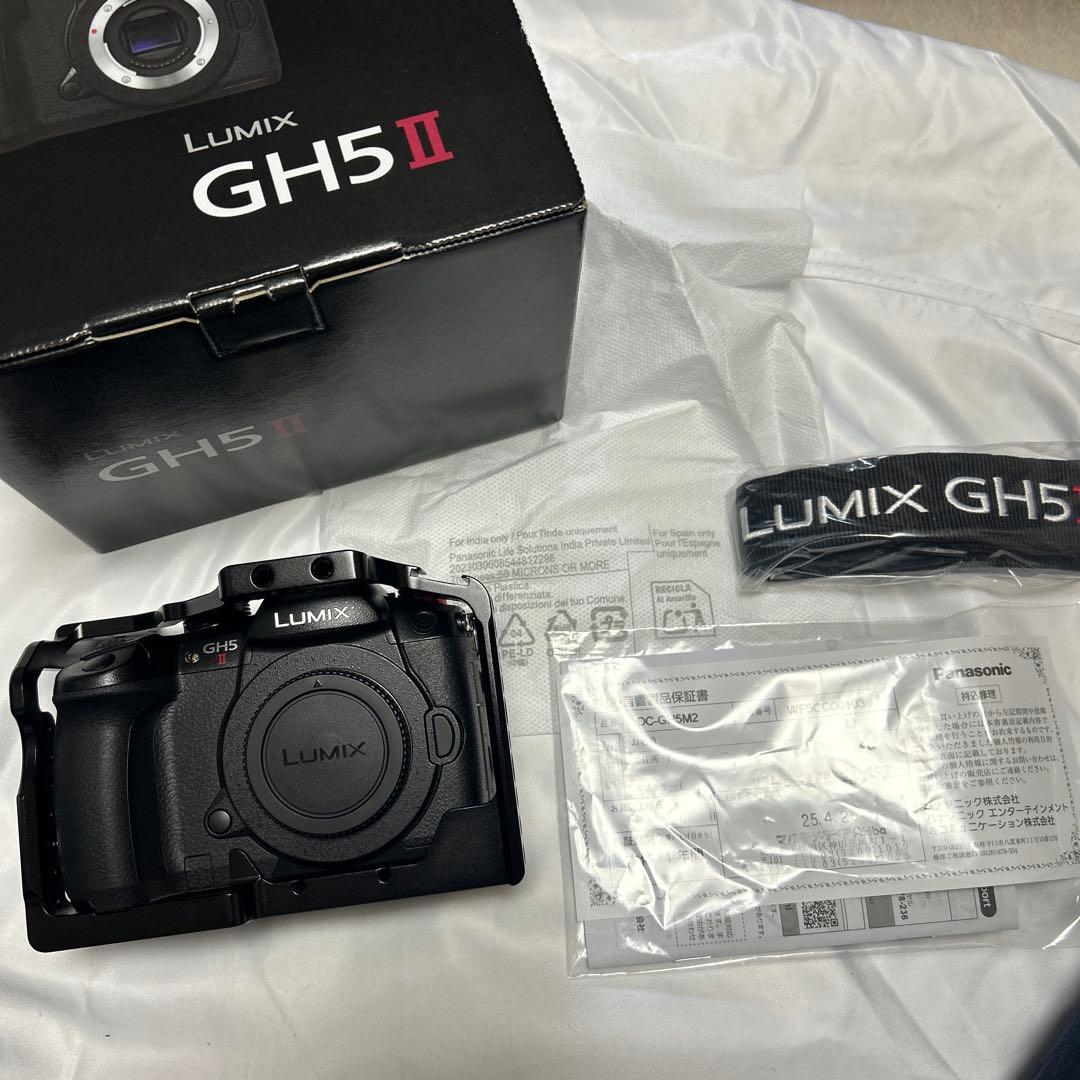 Panasonic LUMIX GH5 II DC-GH5M2 3077枚
