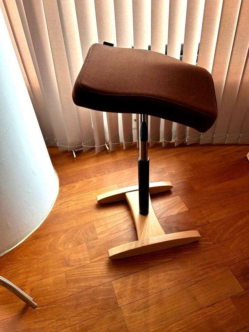 バランス シナジー ブラウン　サカモトハウス