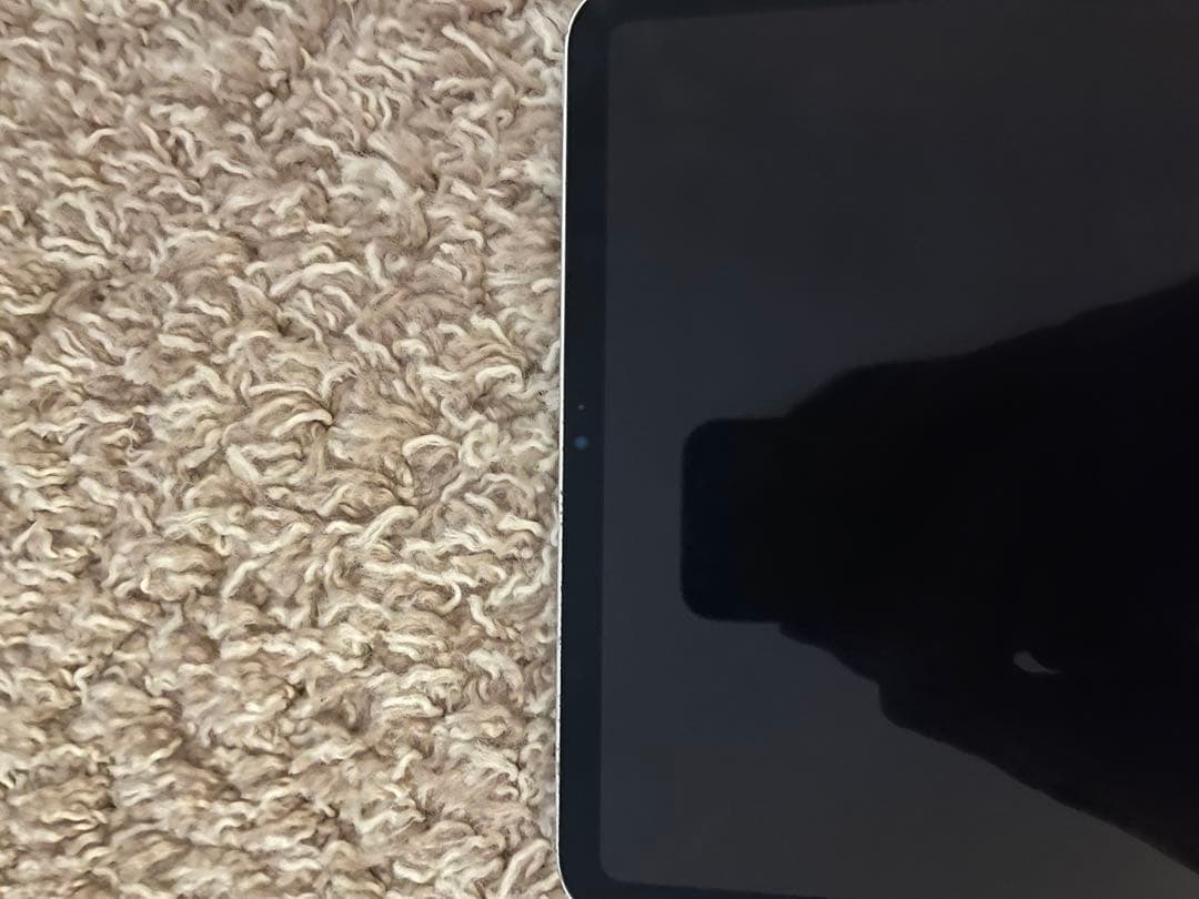 iPad Pro 11インチ 第1世代 Wi-Fiモデル 256GB