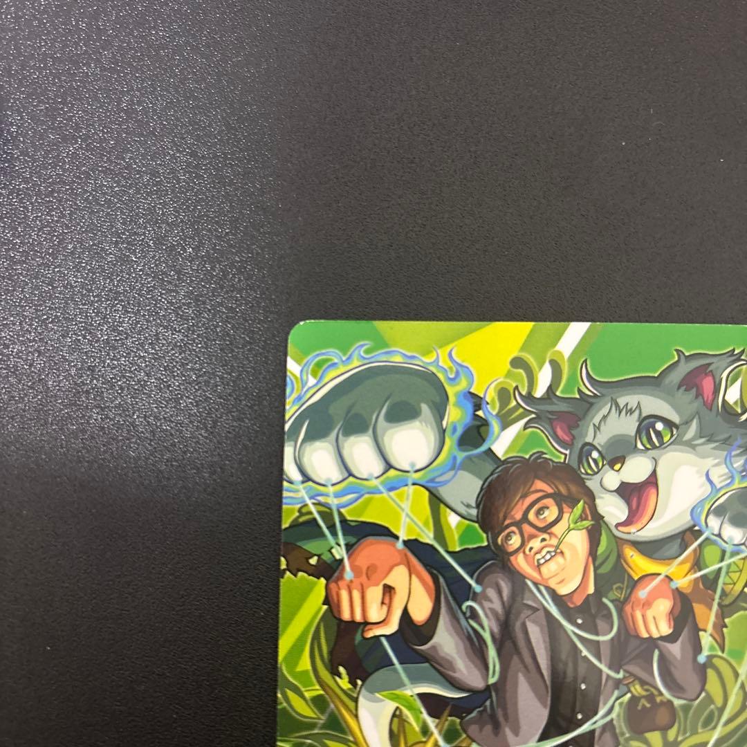 化猫将軍 HIKAKIN トレーディングカード PR