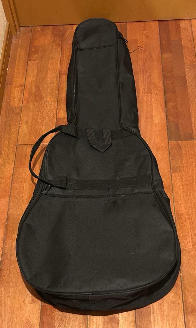 値下げ！即日発送！美品☆ エレアコ James JE450　新品弦