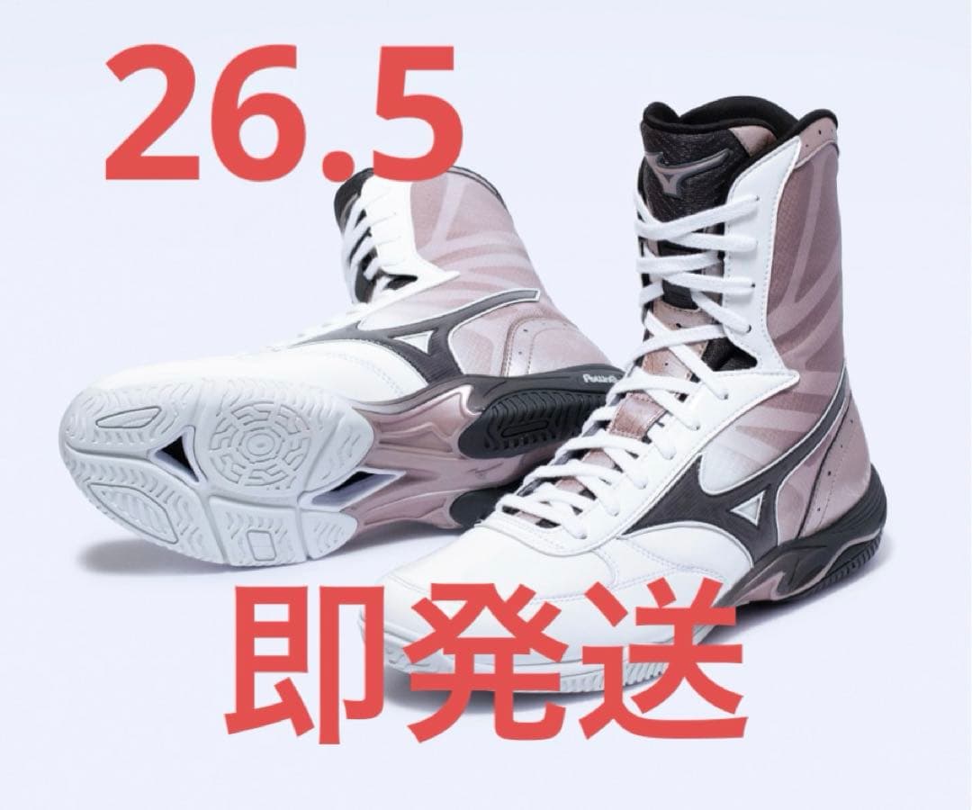 MIZUNOボクシングシューズ WAVE MONSTER