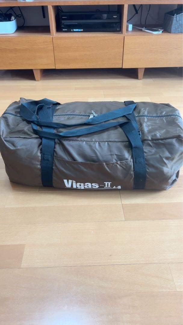 ogawa Vigas-Ⅱ(ヴィガス2)