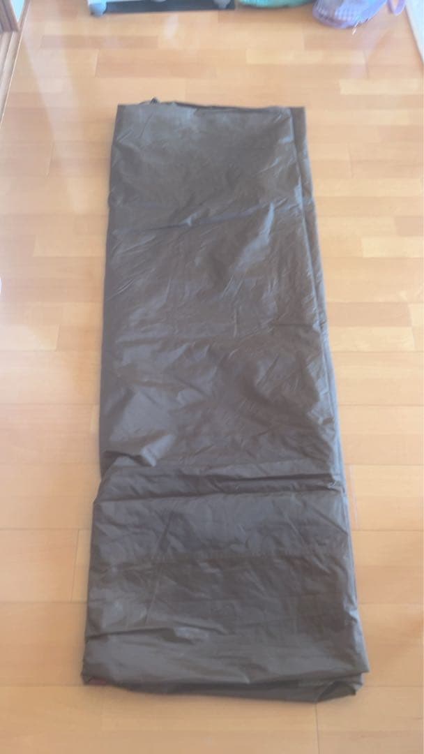 ogawa Vigas-Ⅱ(ヴィガス2)