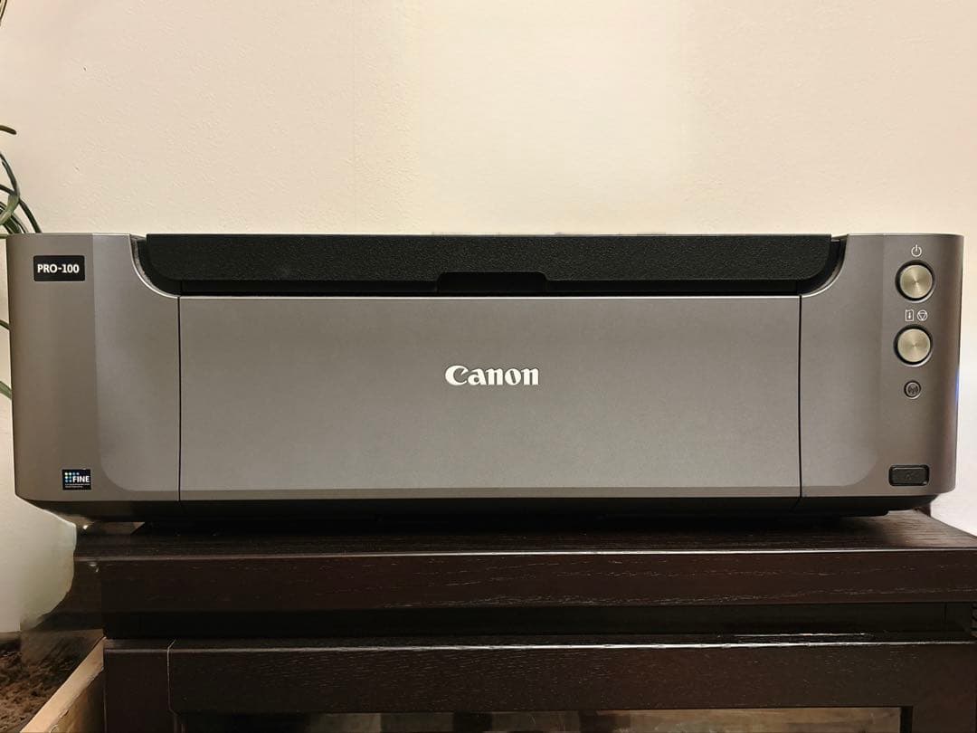 Canon PIXUS PRO-100 インクジェットプリンター　動作確認済